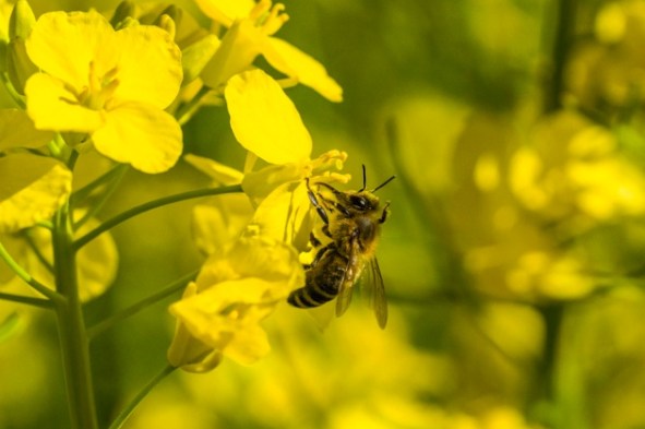 gettyimages-538390176_web