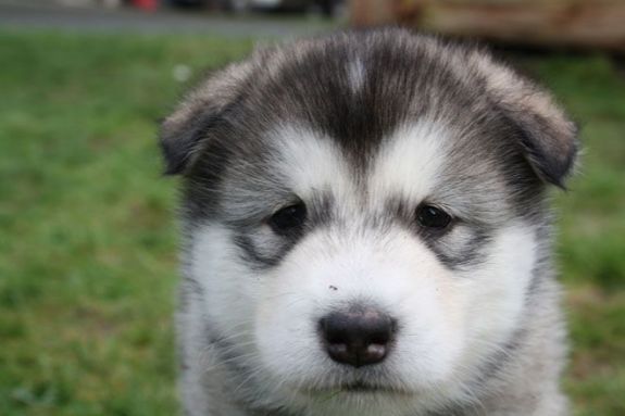 october-26-2011-01-23-39-tumblrlm67pzli1u1qk5yn3o11280